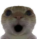 驚訝貓貓