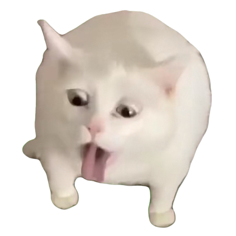 嘔吐貓貓