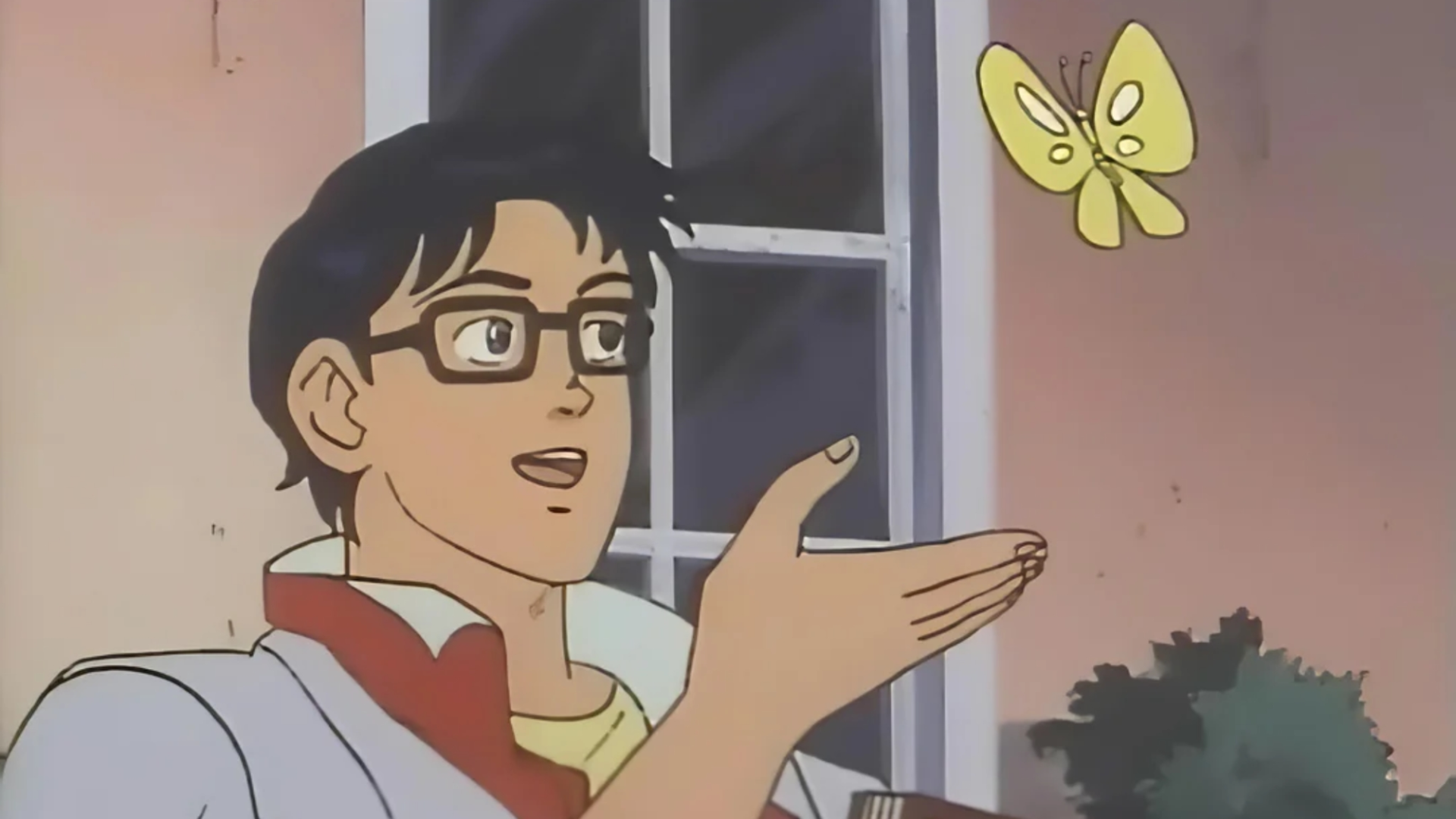 這是蝴蝶嗎